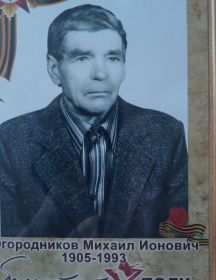 Огородников Михаил Ионович