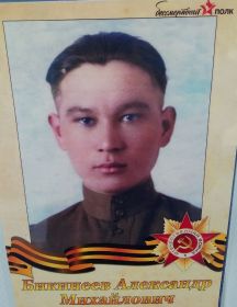 Бикинеев Александр Михайлович