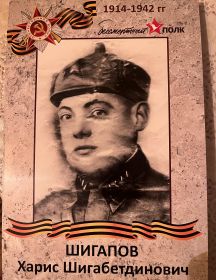 Шигапов Харис Шигабетдинович