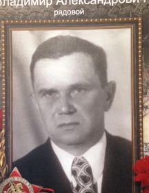 Волкович Владимир Александрович