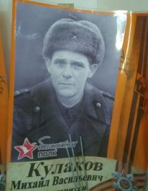Кулаков Михаил Васильевич