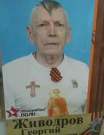 Живодров Юрий Александрович