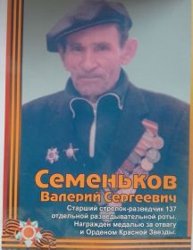 Семеньков Валерий Сергеевич