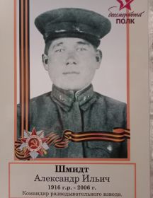 Шмидт Александр Ильич