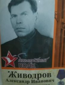 Живодров Александр Иванович