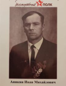 Аникин Иван Михайлович