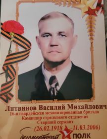 Литвинов Василий Михайлович