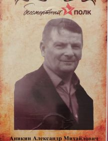 Аникин Александр Михайлович