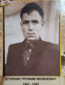 Егоркин Трофим Яковлевич