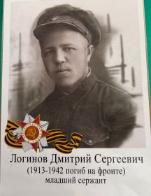 Логинов Дмитрий Сергеевич