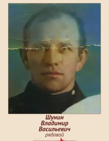Шунин Владимир Васильевич