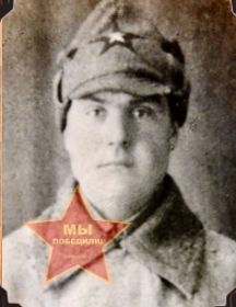 Волков Николай Николаевич