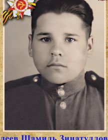 Валеев Шамиль Зинатуллович