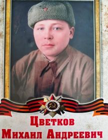 Цветков Михаил Андреевич