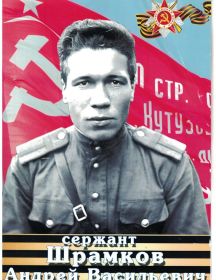 Шрамков Андрей Васильевич