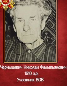 Чернышевич Николай Фельтьянович