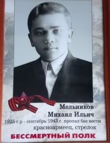 Мельников Михаил Ильич