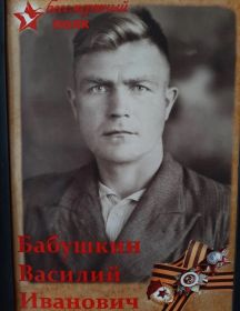 Бабушкин Василий Иванович