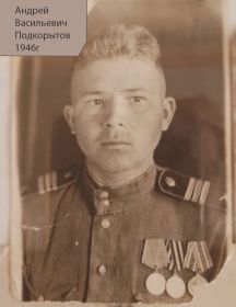 Подкорытов Андрей Васильевич