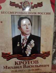 Кротов Михаил Васильевич
