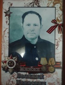 Мишин Василий Матвевич
