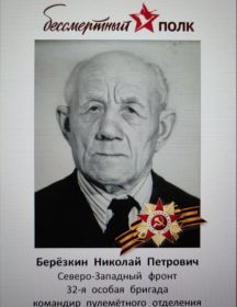 Берёзкин Николай Петрович