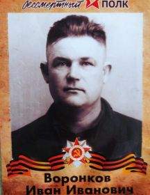Воронков Иван Иванович