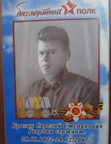 Брагин Савелий Степанович