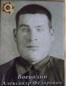 Воеводин Александр Фёдорович