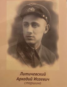 Литичевский Аркадий Исаевич