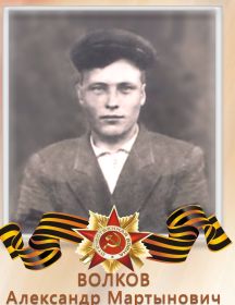 Волков Александр Мартынович