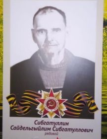 Сибгатулллин Сайдельгыйлим Сибгатуллович