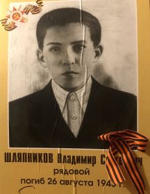Шляпников Владимир Сергеевич