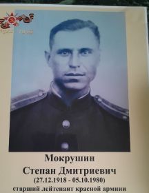 Мокрушин Степан Дмитриевич
