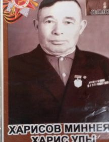 Харисов Миннеяр Харисович