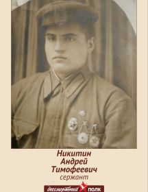 Никитин Андрей Тимофеевич