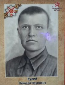 Кулий Николай Наумович