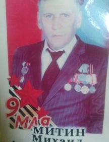 Митин Михаил Александрович