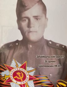 Шемякин Митрофан Николаевич