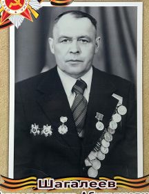Шагалеев Мухаммадгата Абугалиевич