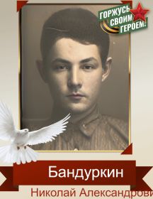 Бандуркин Николай Александрович