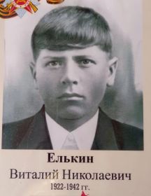 Елькин Виталий Николаевич