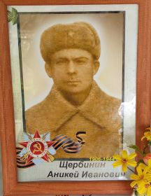 Щербинин Аникей Иванович