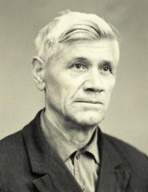 Горожанин Василий Львович
