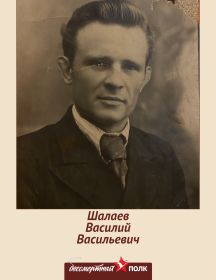 Шалаев Василий Васильевич