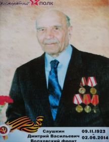Саушкин Дмитрий Васильевич