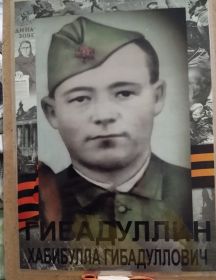 Гибадуллин Хабибулла Гибадуллович