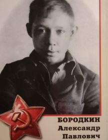 Бородкин Александр Павлович