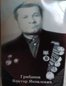 Грибанов Виктор Яковлевич
