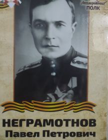 Неграмотнов Павел Петрович